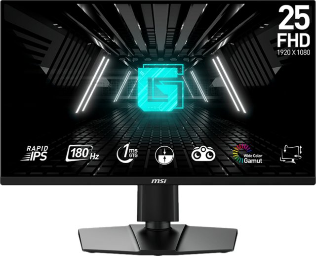 MSI G255PF E2 25"