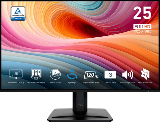 MSI Pro MP251 E2 25"