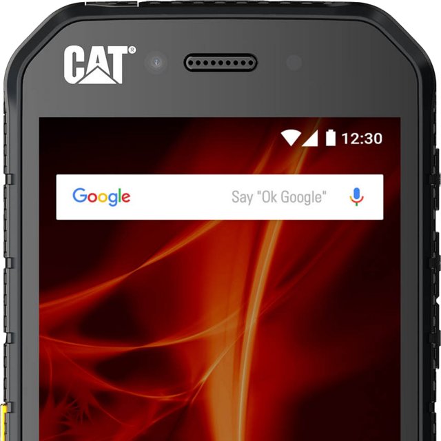Cat S41