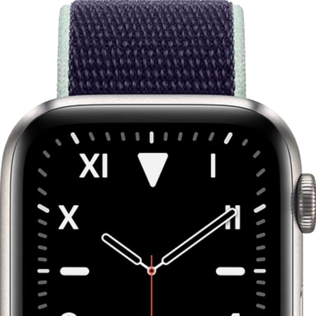 Apple Watch Series 5 GPS + Cellular Titanium Case 44mm