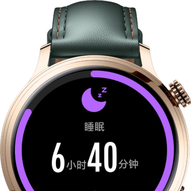 Honor Watch 4 Pro