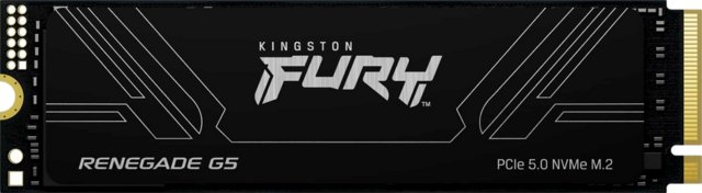 Kingston Fury Renegade G5 4TB